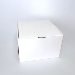 Caja blanca en una pieza 17x17x10 cm – 10 U
